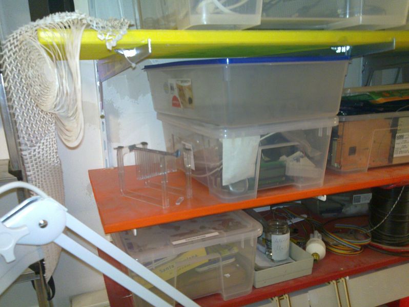 Datei:20120811 003.jpg