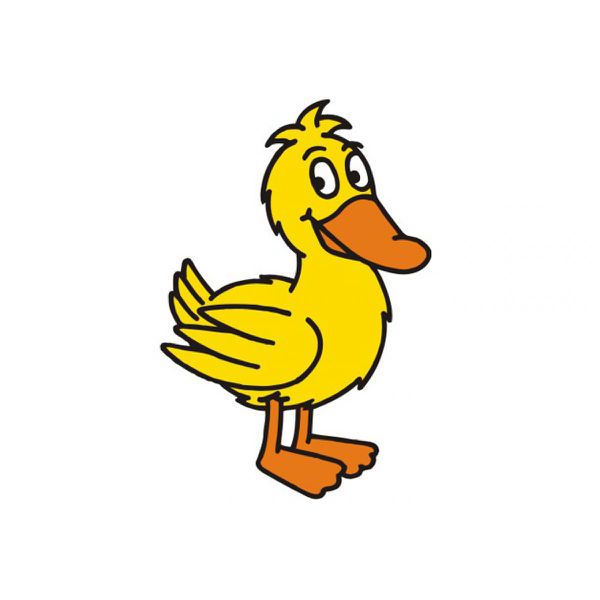Datei:Ente.jpg