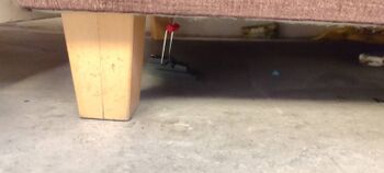 Schnappfalle SF1 unter der Couch neben der Blinkenwall
