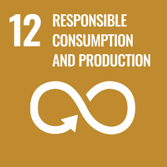 Sustainable Development Goal 12, responsible consumption and production